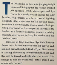 Load image into Gallery viewer, THE COLD MILLIONS - Jess Walter