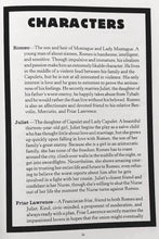 Load image into Gallery viewer, ROMEO AND JULIET - William Shakespeare, SparkNotes
