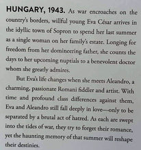 Load image into Gallery viewer, WHEN THE SUMMER WAS OURS - Roxanne Veletzos