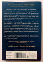 Load image into Gallery viewer, THE LAST DRESS FROM PARIS - Jade Beer