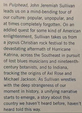 Load image into Gallery viewer, PULPHEAD - John Jeremiah Sullivan