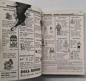 THE DOLL PEOPLE - Ann M. Martin, Laura Godwin