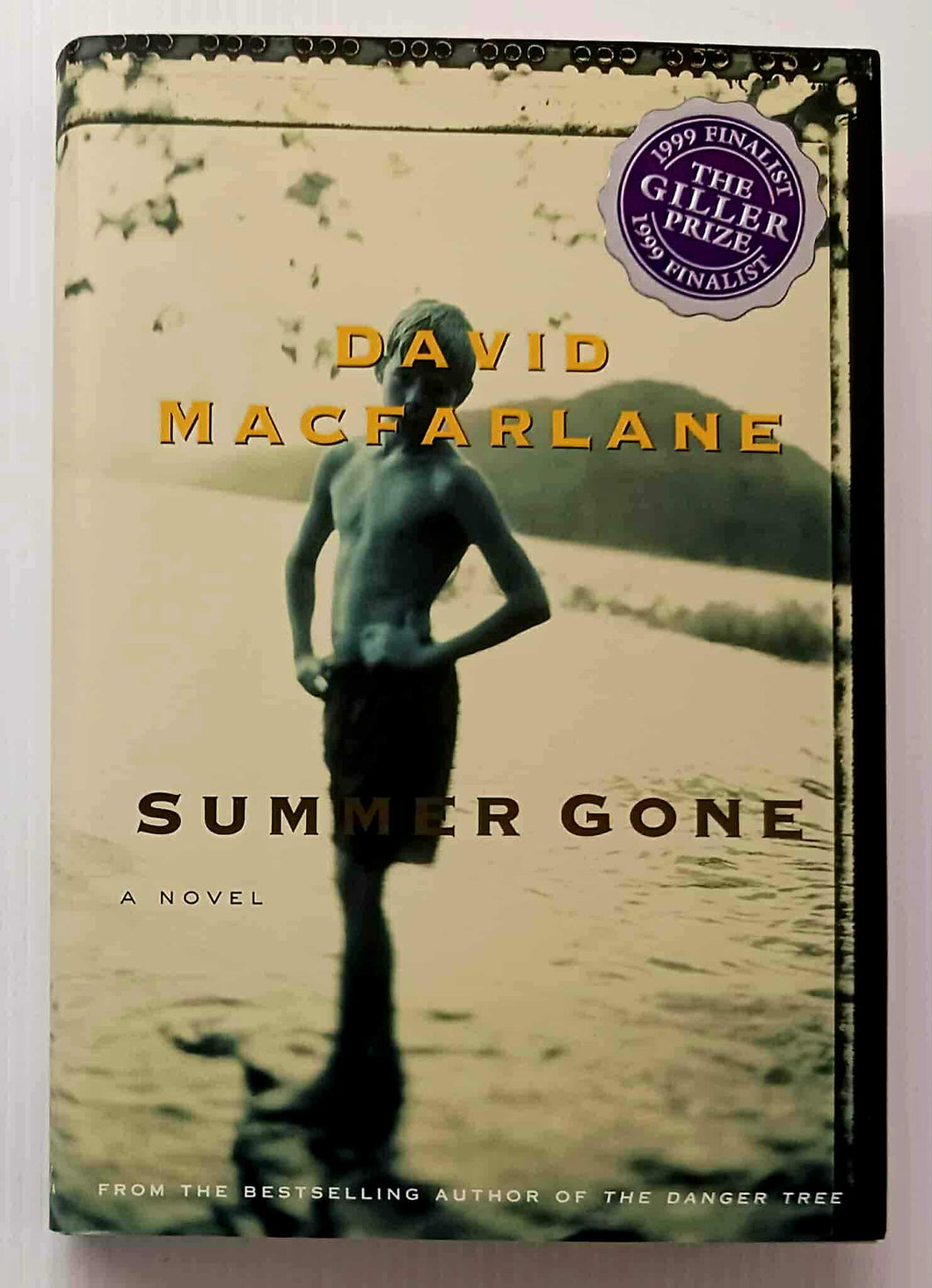 SUMMER GONE - David Macfarlane