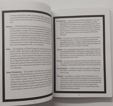 Load image into Gallery viewer, AS YOU LIKE IT - William Shakespeare, SparkNotes
