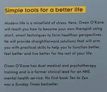Load image into Gallery viewer, HOW TO BE YOUR OWN THERAPIST - Owen O'Kane
