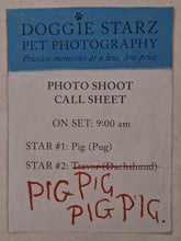 Load image into Gallery viewer, PIG THE STAR - Aaron Blabey
