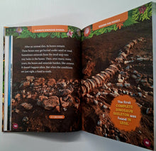 Load image into Gallery viewer, 5-MINUTE DINOSAUR STORIES - Moira Rose Donohue
