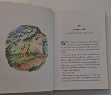 Load image into Gallery viewer, RETURN TO THE HUNDRED ACRE WOOD - David Benedictus
