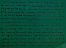 Load image into Gallery viewer, THE DUBIOUS PRANKS OF SHAINDY GOODMAN - Mari Lowe
