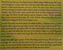 Load image into Gallery viewer, THE LOST BOOK OF FIRST LOVES - RaeAnne Thayne
