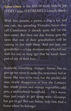 Load image into Gallery viewer, THE LOTTERYS PLUS ONE - Emma Donoghue
