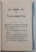 Load image into Gallery viewer, DOGTOWN - Katherine Applegate, Gennifer Choldenko
