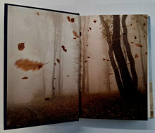 Load image into Gallery viewer, THREE SISTERS - Heather Morris
