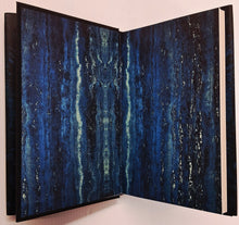 Load image into Gallery viewer, THE SLOW REGARD OF SILENT THINGS - Patrick Rothfuss
