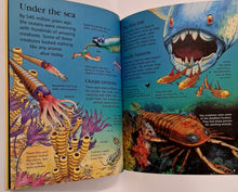 Load image into Gallery viewer, FIRST ENCYCLOPEDIA OF DINOSAURS AND PREHISTORIC LIFE - Sam Taplin
