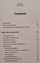 Load image into Gallery viewer, MINDFUL HEALING - Afrosa Ahmed
