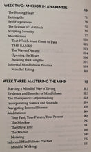 Load image into Gallery viewer, MINDFUL HEALING - Afrosa Ahmed
