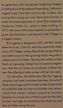 Load image into Gallery viewer, DAMNATION SPRING - Ash Davidson
