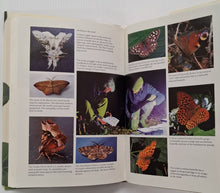 Load image into Gallery viewer, THE WOOD FOR THE TREES - Richard Fortey
