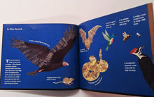 Load image into Gallery viewer, JUST A SECOND - Steve Jenkins
