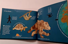 Load image into Gallery viewer, JUST A SECOND - Steve Jenkins
