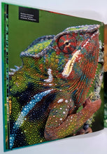 Load image into Gallery viewer, RAINFOREST - Thomas Marent
