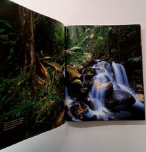 Load image into Gallery viewer, RAINFOREST - Thomas Marent
