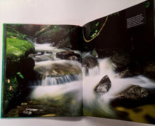 Load image into Gallery viewer, RAINFOREST - Thomas Marent
