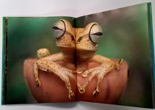 Load image into Gallery viewer, RAINFOREST - Thomas Marent
