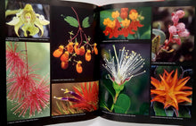 Load image into Gallery viewer, RAINFOREST - Thomas Marent
