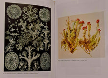 Load image into Gallery viewer, ENTANGLED LIFE - Melvin Sheldrake
