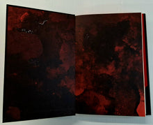 Load image into Gallery viewer, HOLLOW - Celina Myers

