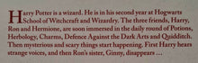 Load image into Gallery viewer, HARRY POTTER AND THE CHAMBER OF SECRETS - J.K. Rowling

