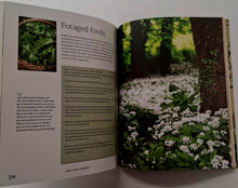 Load image into Gallery viewer, FOREST SCHOOL ADVENTURE - Naomi Walmsley, Dan Westall
