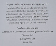 Load image into Gallery viewer, THE OLD MAGIC OF CHRISTMAS - Linda Raedisch
