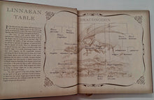 Load image into Gallery viewer, DRAKE'S COMPREHENSIVE COMPENDIUM OF DRAGONOLOGY - Ernest Drake, Dugald A. Steer
