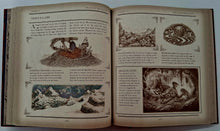 Load image into Gallery viewer, DRAKE'S COMPREHENSIVE COMPENDIUM OF DRAGONOLOGY - Ernest Drake, Dugald A. Steer
