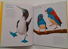 Load image into Gallery viewer, SHALL WE DANCE? - Robin Page
