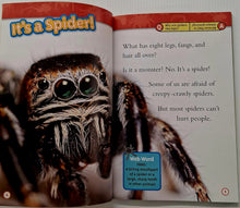 Load image into Gallery viewer, PREDATORS COLLECTION - National Geographic Kids
