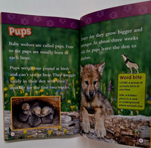 Load image into Gallery viewer, PREDATORS COLLECTION - National Geographic Kids
