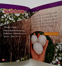Load image into Gallery viewer, PLANET EARTH COLLECTION - National Geographic Kids
