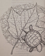 Load image into Gallery viewer, OF TIME AND TURTLES - Sy Montgomery
