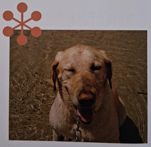 Load image into Gallery viewer, MARLEY &amp; ME - John Grogan
