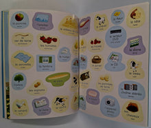 Load image into Gallery viewer, FIRST FRENCH WORDS STICKER BOOK - Usborne Books
