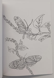 THE BUTTERFLY COLORING BOOK - Sky Pony Press