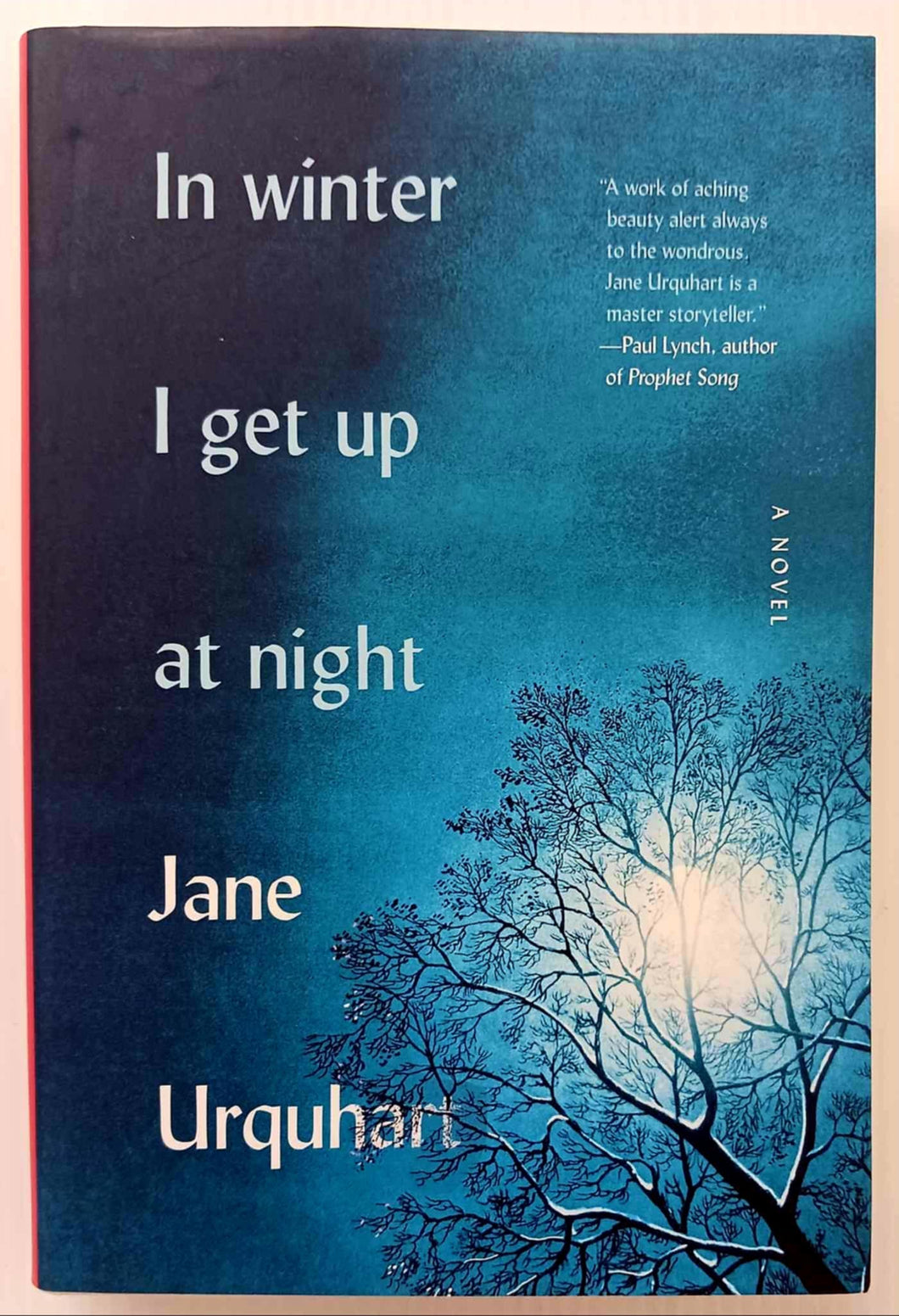 IN WINTER I GET UP AT NIGHT - Jane Urquhart