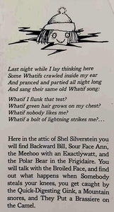 A LIGHT IN THE ATTIC - Shel Silverstein