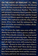 Load image into Gallery viewer, IN THE WAVES - Rachel Lance
