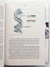 Load image into Gallery viewer, THE CODE BREAKER - Walter Isaacson
