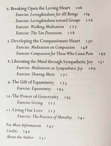 LOVINGKINDNESS - Sharon Salzberg